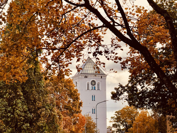 Ideas for autumn walks in the Jelgava Area