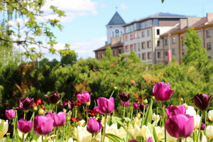 10. - 11. maijam Stādu dienas Jelgavā