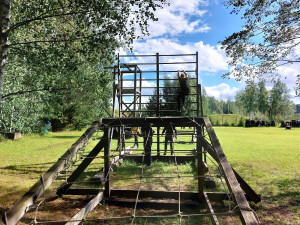 Jaunums! Tīsu bāze