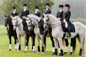 LBTU Zirgkopības mācību centrs "Mu&scaron;ķi"