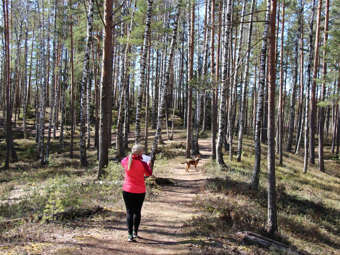 Baudi rudenīgas pastaigas Jelgavā un Jelgavas novadā