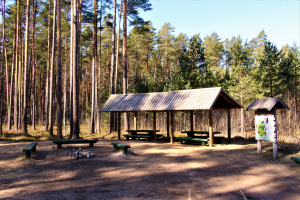 Garie kalni (Long Hills) - Būriņu Forest 